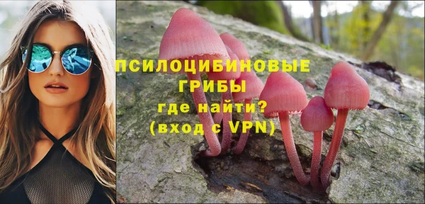 ALPHA PVP Баксан